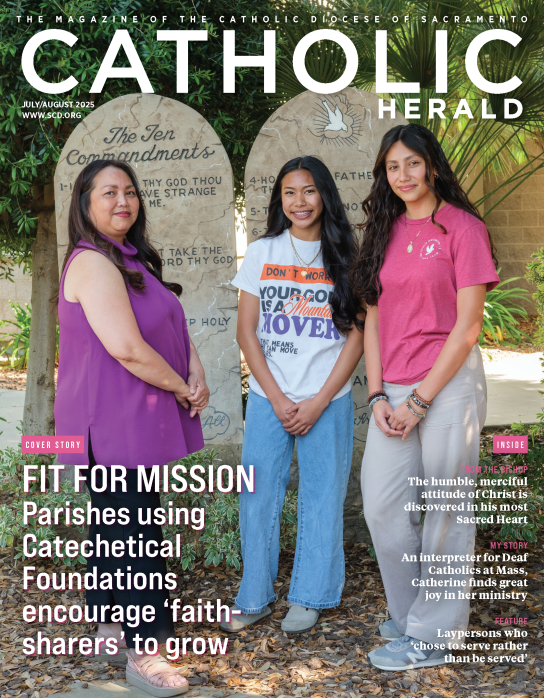 SAC0725 cover