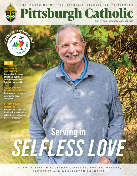 PIT1025 cover