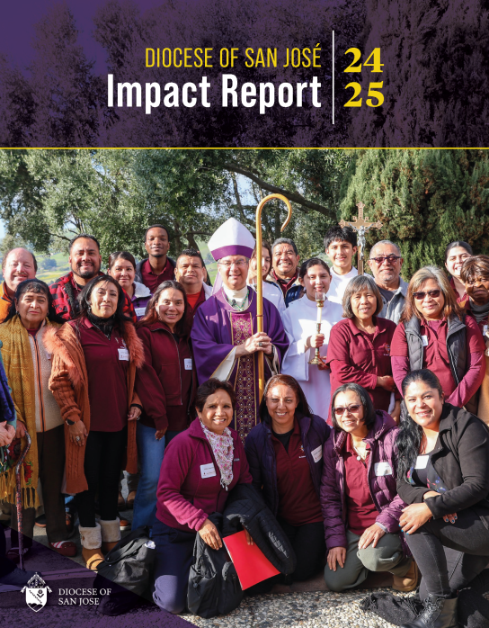 SJ Impact Report 2025 cover