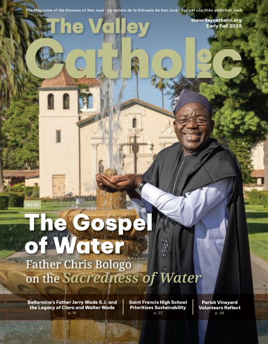 06 SJ Early Fall cover