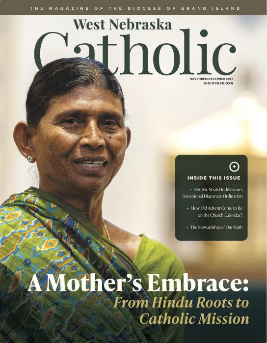 GI Cover Nov/Dec 2025