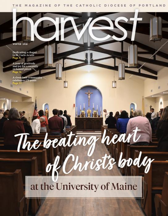 Harvest, Winter 2025