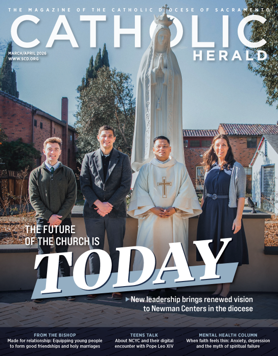 SAC0326 cover