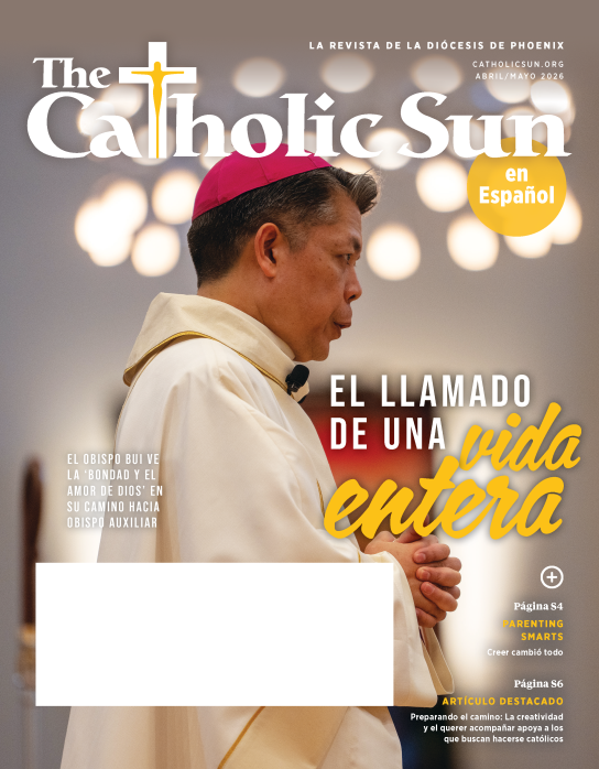 PHX0426-SPN Cover