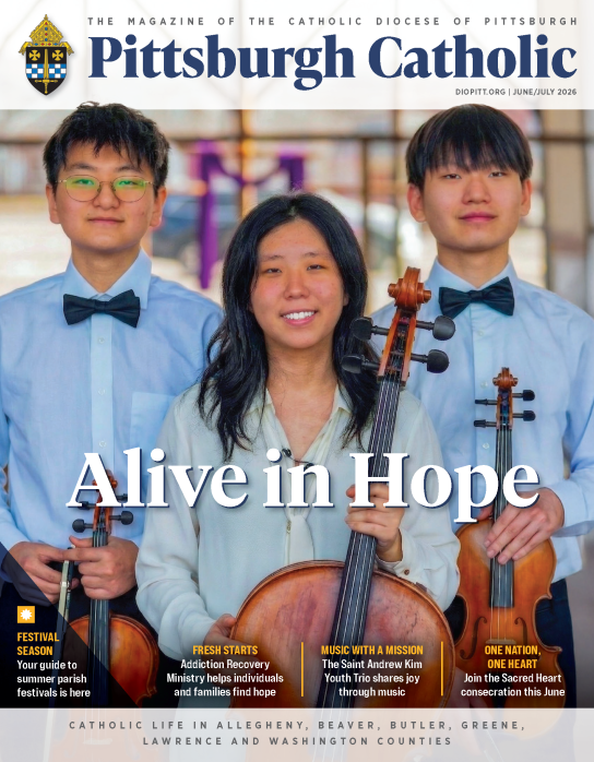 PIT0626 cover