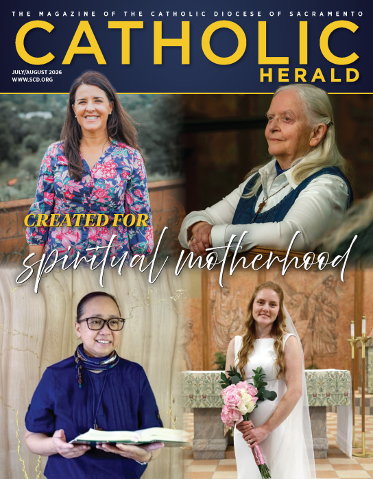 SAC0726 cover